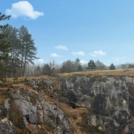 2 Bedroom Pet Friendly In Treignes