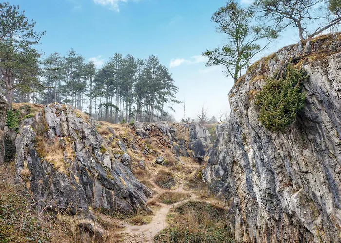 2 Bedroom Pet Friendly In Vakantiehuis Treignes